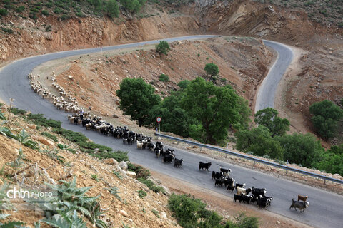 مالکَنون عشایر بختیاری