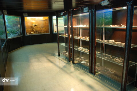 موزه علی آباد