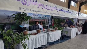 نمایشگاه گردشگری و صنایع دستی و توانمندی های روستایی در جشنواره گردو شهرستان خرمدره