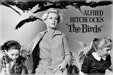 «پرندگان» هیچکاک در فیلم‌نت به مناسبت گرامیداشت ششمین دهه ساخت فیلم