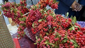 رونق گردشگری قاینات همزمان با گردش فصل‌ها