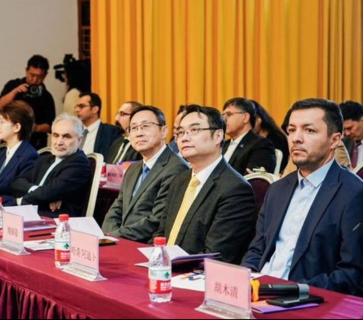 مجموعه جهانی شیخ صفی گنجینه ارزشمندی از دیرینگی روابط ایران و چین است مجموعه جهانی شیخ صفی گنجینه ارزشمندی از دیرینگی روابط ایران و چین است