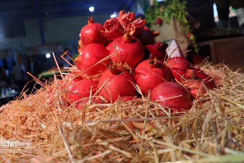 جشنواره شکرانه انار یاقوت سرخ درجزین