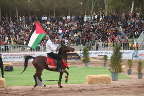 مسابقات نمایش اسب رفسنجان