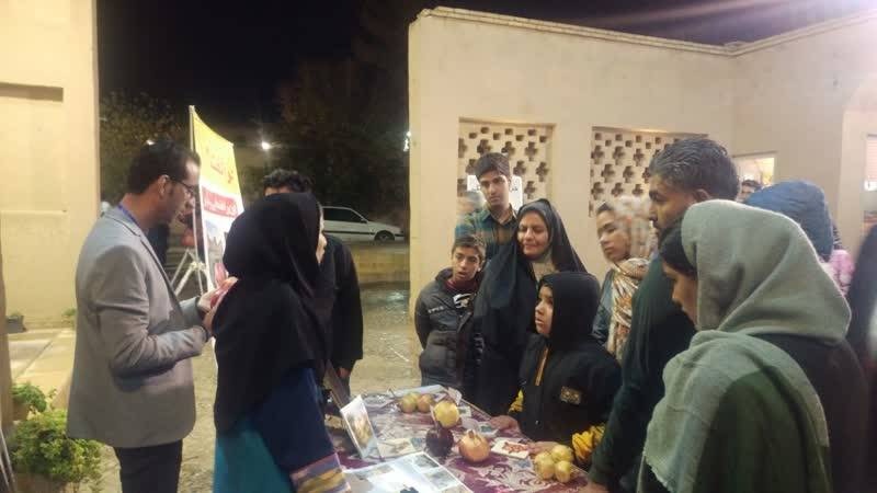 برپایی میز راهنمای گردشگری در جشنواره انار تفت
