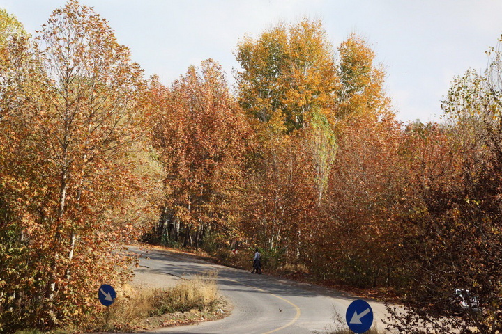 باغستان