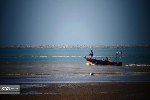 ساحل خلیج‌فارس
