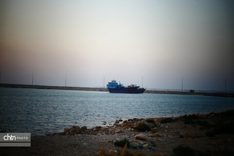 ساحل خلیج‌فارس