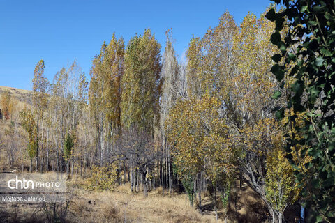 پاییز گردی در روستای زیبای امند