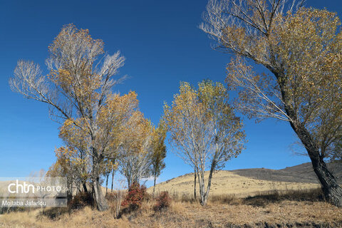 پاییز گردی در روستای زیبای امند