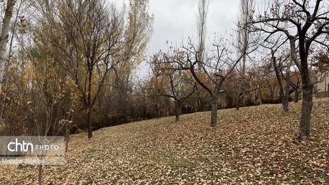 طبیعت پاییزی روستای دهشیر و آسیاب آبی