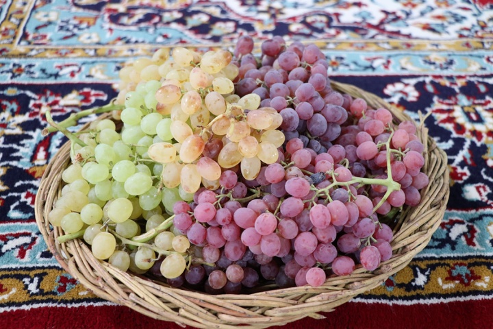 جشنواره انگور هزاوه