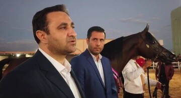 حضور معاون گردشگری در جشنواره زیبایی اسب اشکذر