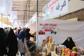 نمایشگاه و جشنواره گردشگری فصلی روستای کشار علیاء تهران برگزار شد