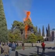 آتش‌سوزی آرامگاه سعدی مربوط به ۲ درخت کهنسال است/ آتش مهار شد و خطری وجود ندارد