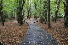 تأکید رئیس‌کل دادگستری گلستان بر حفظ طبیعت پارک جنگلی النگدره