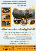کارگاه آموزشی فن بیان و سخن‌وری در گردشگری خراسان جنوبی برگزار می‌شود