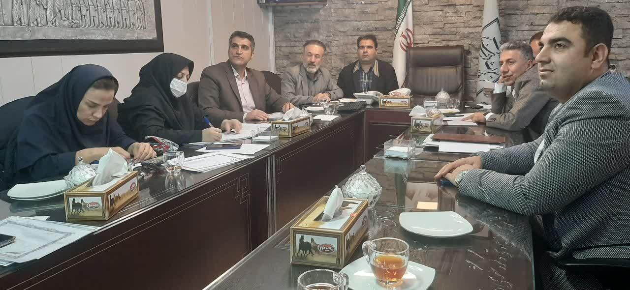 ۲۳ طرح سرمایه‌گذاری گردشگری در کرمانشاه بررسی شد