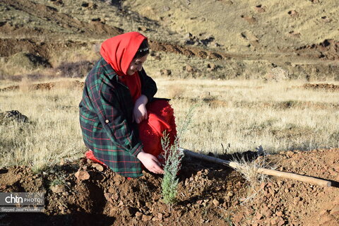 طرح مردمی کاشت یک میلیارد درخت همزمان با سراسر کشور در سنندج