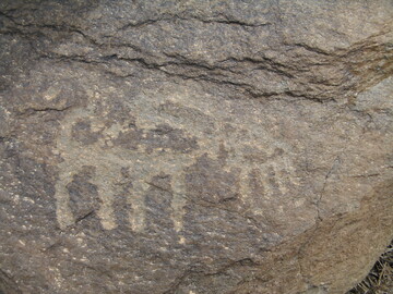 سنگ نگاره‌های تیمره خمین، روایت اسرار ۴۰هزار ساله تاریخ
