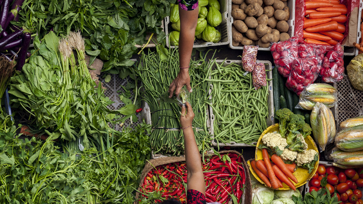 شهر اوبود در اندونزی به قطب جهانی گردشگری غذا و خوراک پایدار بدل میشود شهر اوبود در اندونزی به قطب جهانی گردشگری غذا و خوراک پایدار بدل میشود