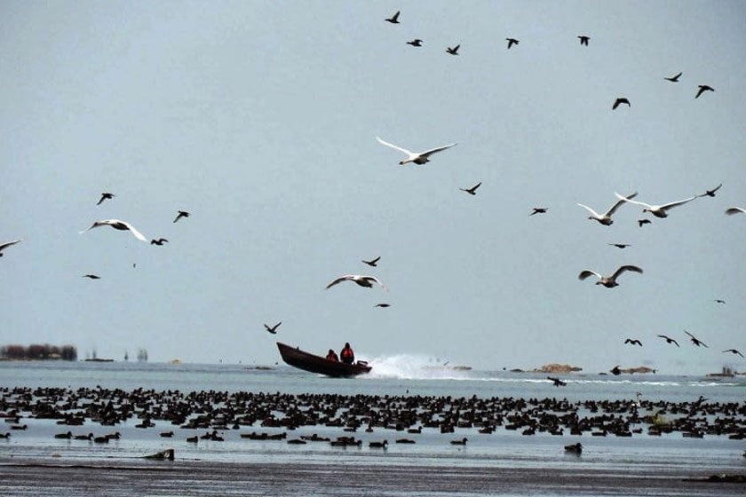 اجرای طرح گردشگری جزیره آشوراده با همت بلند دولت سیزدهم پس از ۲۵ سال/ گره گشایی از مشکلات «تنها جزیره ایرانی دریای خزر» به نفع مردم