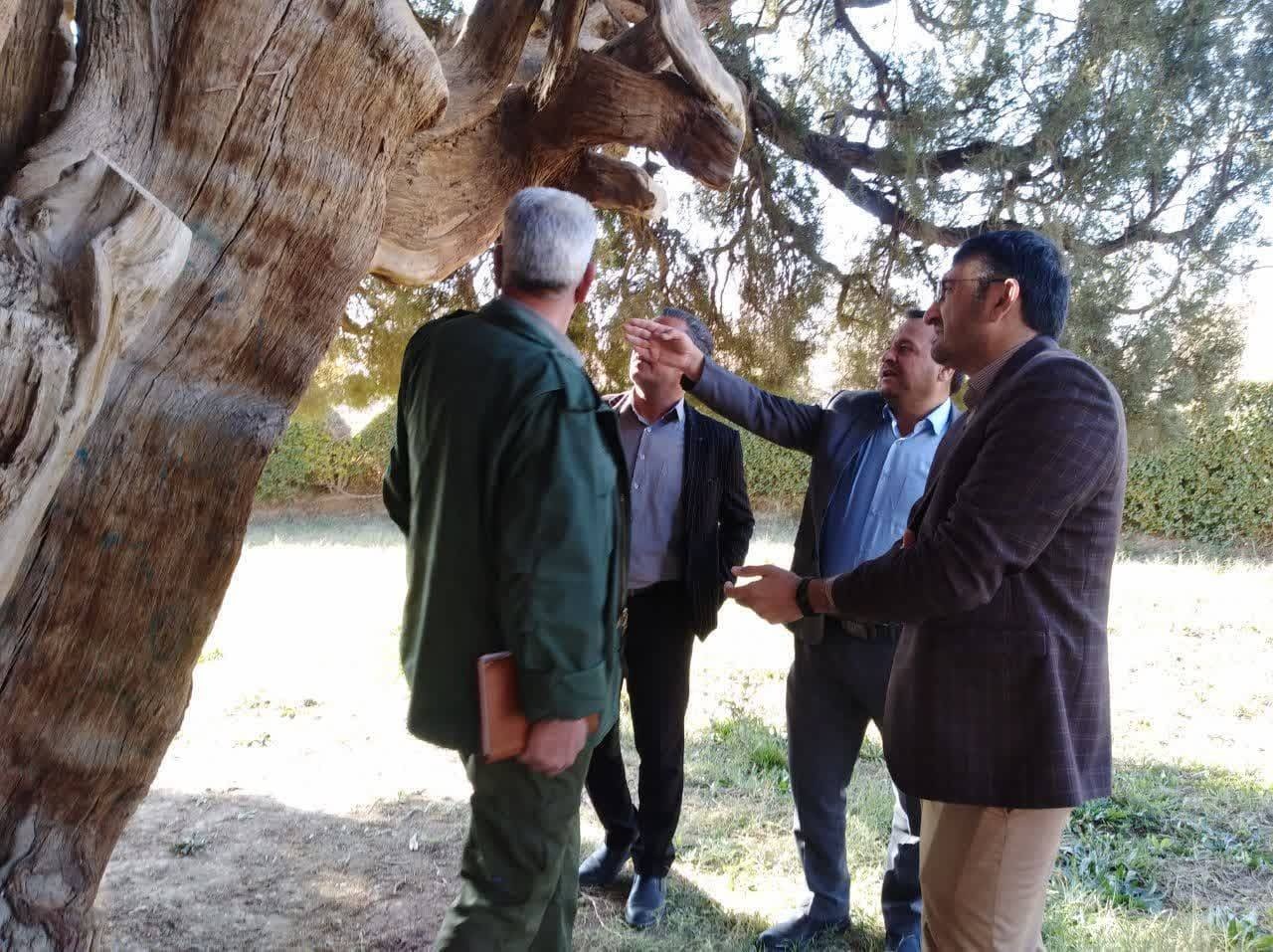 برگزاری کارگروه هماهنگی بین بخشی سرو ابرکوه