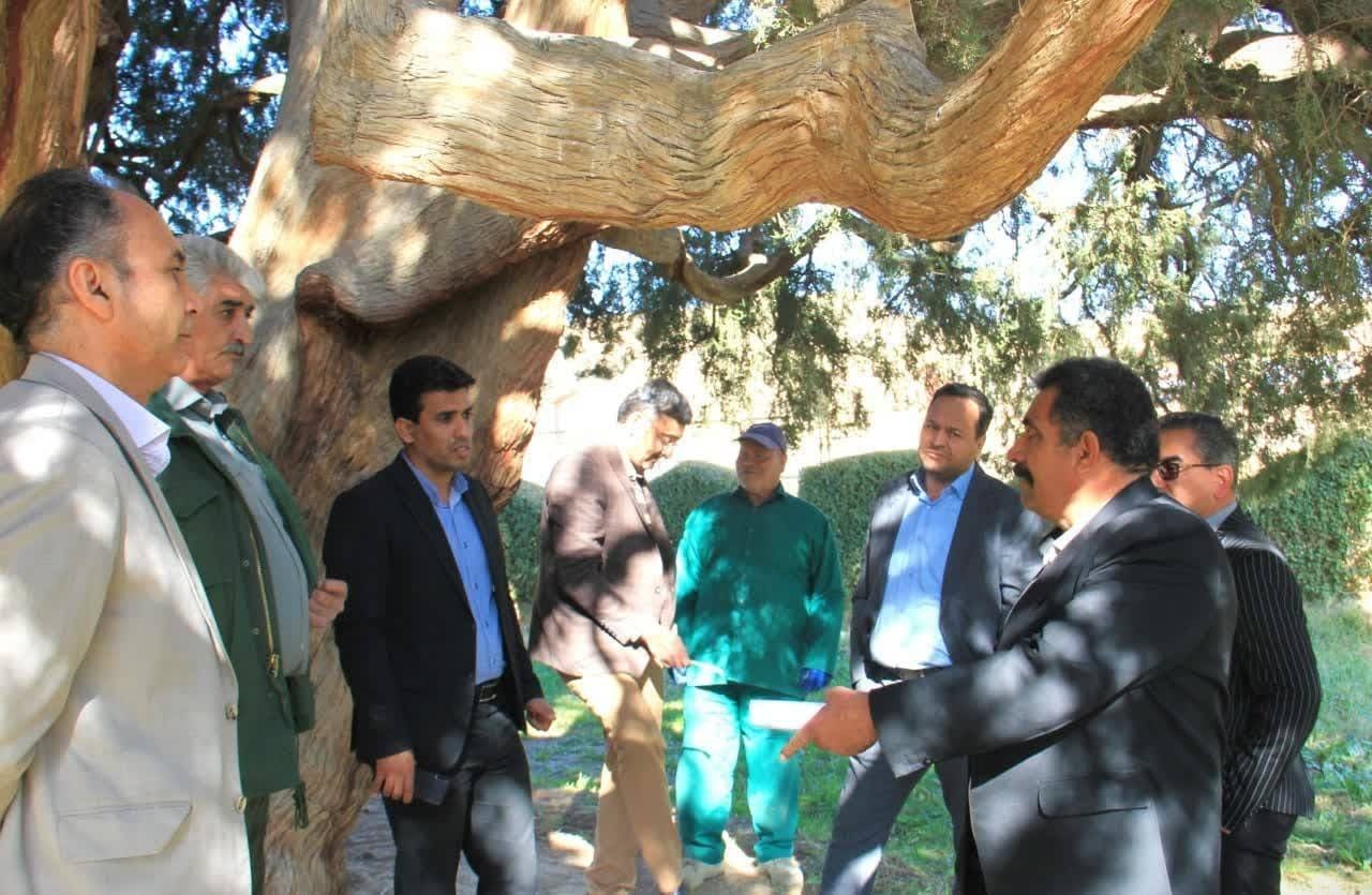 برگزاری کارگروه هماهنگی بین بخشی سرو ابرکوه