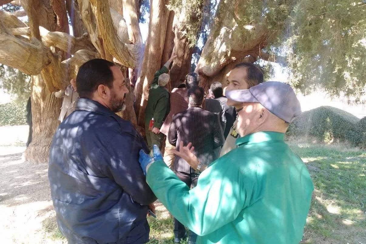 برگزاری کارگروه هماهنگی بین بخشی سرو ابرکوه