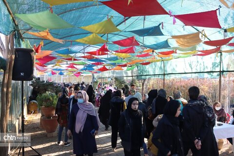 جشنواره گل نرگس سمنان
