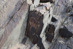 پایش کلونی‌های  سنگ نگاره های باستانی مشهد