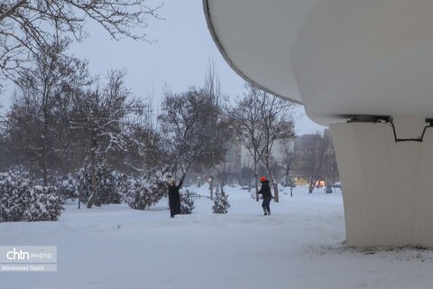 برف و کولاک شدید در اردبیل