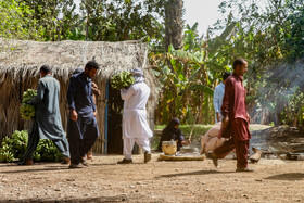 زرآباد سیستان و بلوچستان به قطب نوظهور گردشگری طبیعی و آیین‌های بومی تبدیل می‌شود/ از تلاقی کویر و دریا تا باغات موز