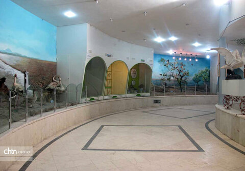 موزه حیات وحش شهر قم