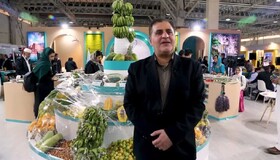 چهره واقعی سیستان و بلوچستان در نمایشگاه تهران به نمایش گذاشته شد