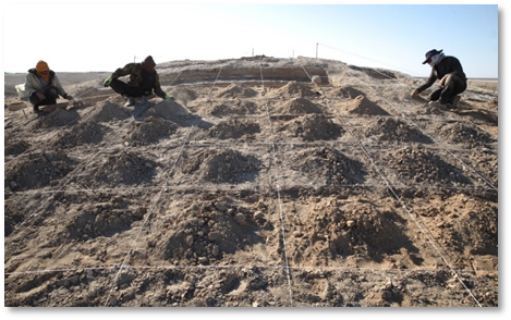 کاوش در کارگاه ۳۰ منطقه موسوم به صنعتی شهرسوخته