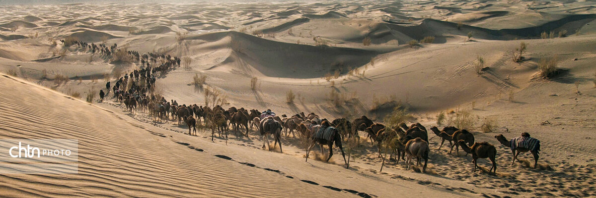 سرزمین نخل و آفتاب مهیای میزبانی از مسافران نوروزی/ ۱۵۸ اقامتگاه با بیش از ۵ هزار تخت آماده پذیرایی