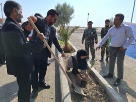کاشت ۵۰ اصله درخت در پایگاه میراث‌جهانی شهرسوخته سیستان