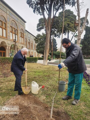 درخت‌کاری معاون میراث فرهنگی در کاخ گلستان