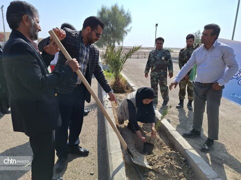 کاشت ۵۰ اصله درخت در پایگاه میراث‌جهانی شهرسوخته سیستان