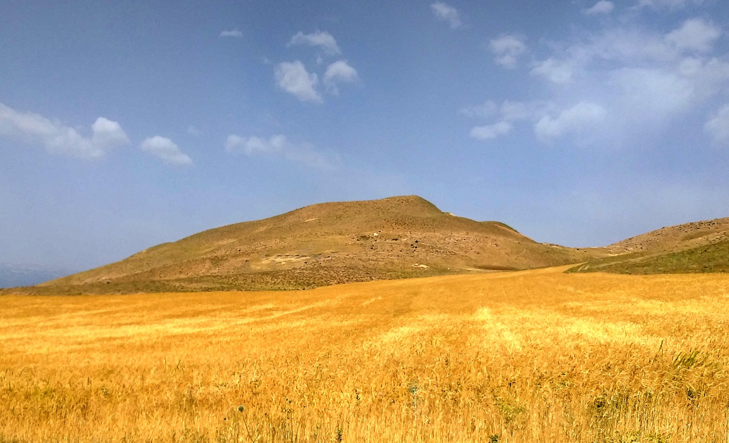 دژ باستانی قلاتگاه اشنویه، محوطه بزرگ اورارتویی در شمال غرب ایران