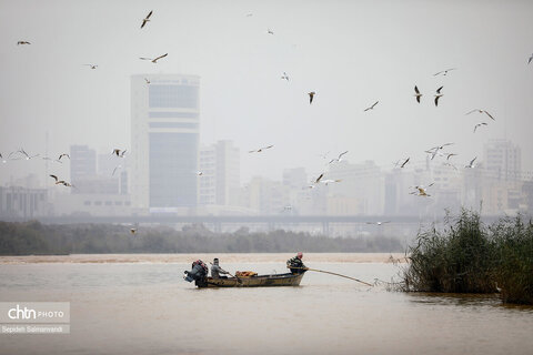 پرواز پرندگان مهاجر بر فراز پل سفید اهواز