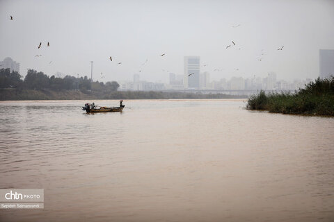پرواز پرندگان مهاجر بر فراز پل سفید اهواز