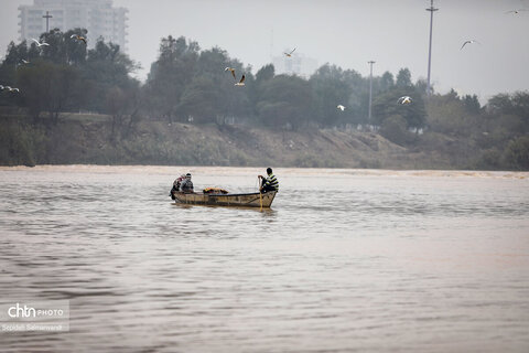 پرواز پرندگان مهاجر بر فراز پل سفید اهواز