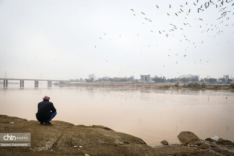 پرواز پرندگان مهاجر بر فراز پل سفید اهواز