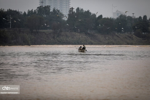 پرواز پرندگان مهاجر بر فراز پل سفید اهواز
