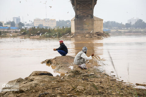 پرواز پرندگان مهاجر بر فراز پل سفید اهواز
