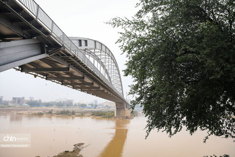پرواز پرندگان مهاجر بر فراز پل سفید اهواز