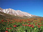 بازدید بی سابقه مسافران نوروزی از اماکن تاریخی، گردشگری و جاذبه‌های استان مرکزی