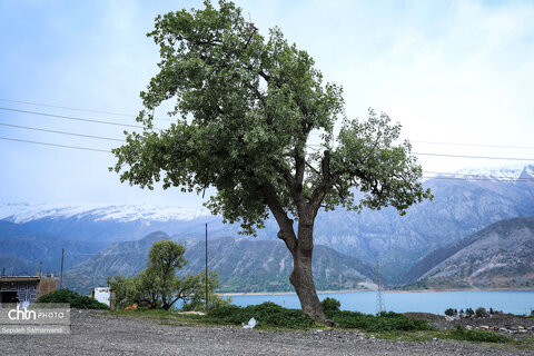 حال و هوای گردشگران نوروزی در اسکله رکعت دزپارت